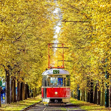 Homestay szállás E3 7 Prága